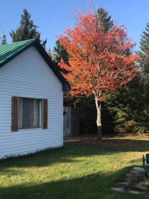Notre-Dame-Des-Bois Le Jazz- Chalet Rustique/Chic Avec Spa מראה חיצוני תמונה