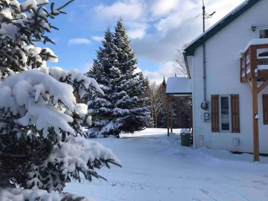 Notre-Dame-Des-Bois Le Jazz- Chalet Rustique/Chic Avec Spa מראה חיצוני תמונה